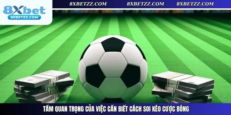 Tầm quan trọng của việc cần biết cách soi kèo cược bóng