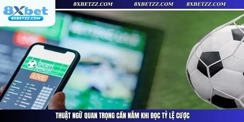 Thuật ngữ quan trọng cần nắm khi đọc tỷ lệ cược